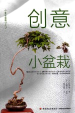 创意小盆栽 封面
