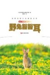 世界动物小说精品书系 野兔豁豁耳 影像青少版 封面