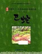 中国风十二生肖童话故事原创绘本  巳蛇 封面