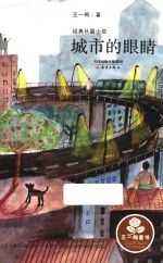 王一梅童书  经典长篇小说  城市的眼睛 封面