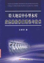 特大地震中小型水库应急除险修复理论与技术 封面