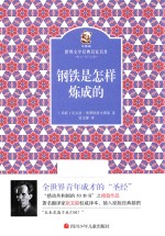 金熊猫世界文学经典名家名作  钢铁是怎样炼成的 封面