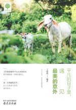 平凡的日子里，遇见最美的意外 封面