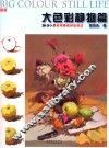 大色彩  静物篇 封面