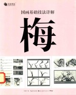 国画基础技法详解  梅 封面