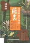 自然野趣大观察  蕨类  超值版 封面