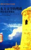 东方文学的明珠  阿拉伯文学简史 封面