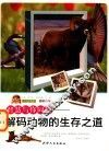 智慧与你同行  解码动物的生存之道 封面