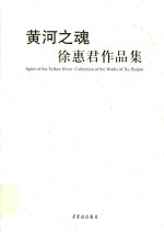 徐惠君作品集  黄河之魂 封面