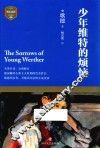 少年维特的烦恼 封面