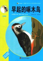 早起的啄木鸟 封面