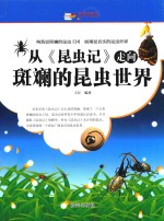 从《昆虫记》走向斑斓的昆虫世界 封面