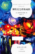 钢铁是怎样炼成的 封面