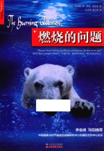 燃烧的问题 电子书封面