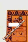 鲁米  偷走睡眠的人 封面