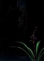 南粤兰芳 封面