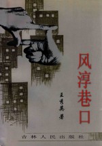 衍水文丛  风淳港口 封面