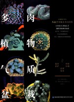 多肉植物气质盆栽 封面