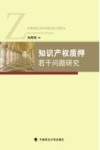 知识产权质押若干问题研究 封面