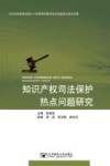 知识产权司法保护热点问题研究 封面