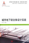 城市地下综合体设计实践 封面