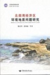 北部湾经济区环境地质问题研究 封面