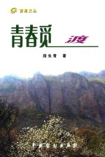 繁星文丛  青春觅渡 封面