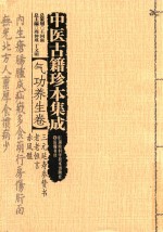 中医古籍珍本集成  气功养生卷  三元延寿参赞、书老老恒言、赤凤髓 封面