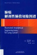 肺癌解剖性肺段切除图谱 封面