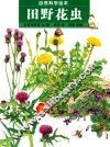 自然科学绘本  田野  花虫 封面