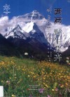 西藏野生花开 封面