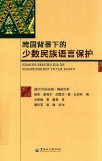 跨国背景下的少数民族语言保护 封面