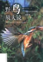 野鸟放大镜  食衣篇 封面