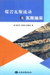 煤岩瓦斯流动及瓦斯抽采 封面