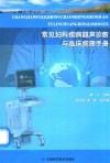 常见妇科疾病超声诊断与临床病理手册 封面