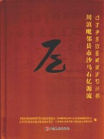 川滇毗邻县市沙马石亿源流 封面