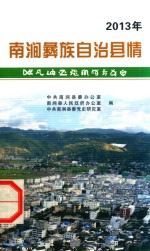2013南涧彝族自治县情 封面