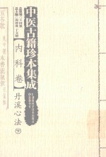 中医古籍珍本集成  内科卷  丹溪心法  下 封面
