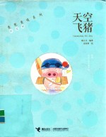 天空飞猪  珍爱版 封面