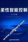柔性智能控制 封面