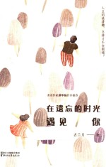 在遗忘的时光遇见你 电子书封面