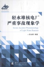 轻水堆核电厂严重事故现象学 封面