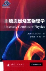非稳态燃烧室物理学 封面