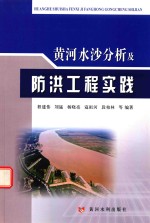黄河水沙分析及防洪工程实践 封面