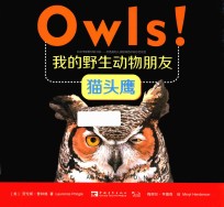我的野生动物朋友  猫头鹰 封面