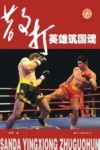 散打英雄筑国魂 封面