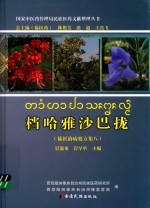 档哈雅沙巴拢傣医治病要方集 8 封面