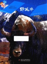 儿童文学童书馆小书虫桥梁书系列  自然之子黑鹤原生态系列  野牦牛 封面