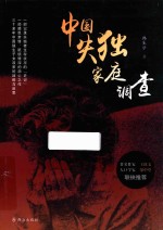 中国失独家庭调查 封面