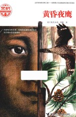 黑鹤动物文学精品系列  黄昏夜鹰 封面